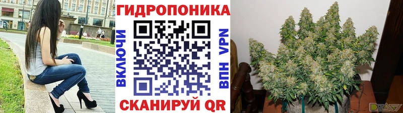 Сколько стоит Курильск ГАШ ГЕРОИН АМФ Меф мяу мяу Кокаин Марихуана