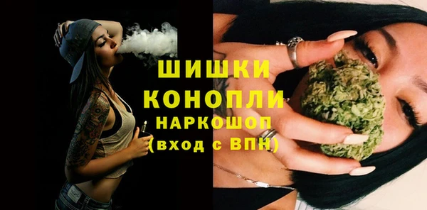 PSILOCYBIN Белокуриха