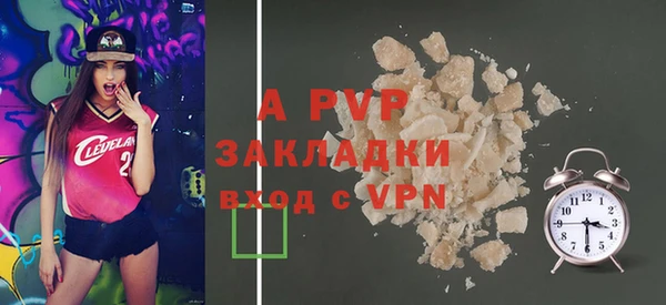 PSILOCYBIN Белокуриха