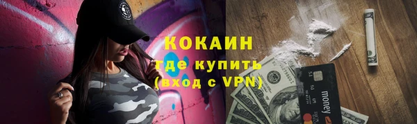 PSILOCYBIN Белокуриха