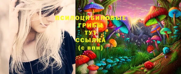 винт Беломорск