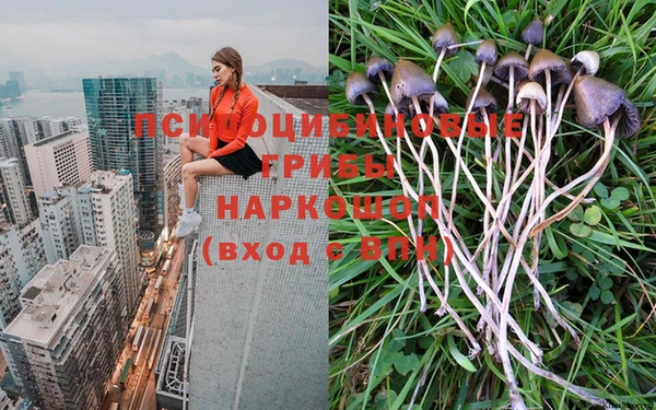 PSILOCYBIN Белокуриха