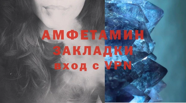PSILOCYBIN Белокуриха