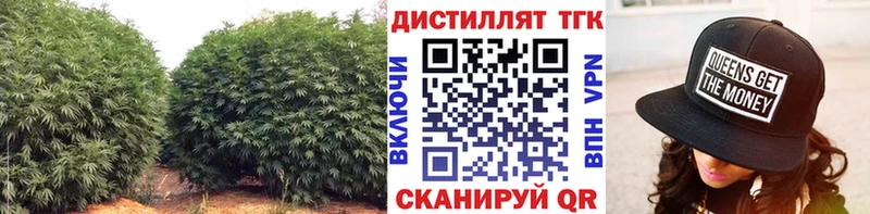 ТГК концентрат  Курильск 