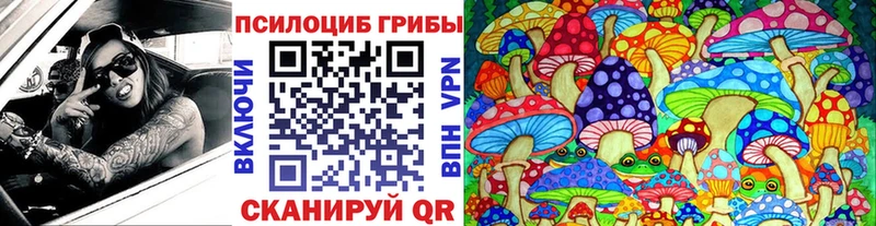 Псилоцибиновые грибы Psilocybe  Курильск 