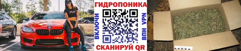 Бошки марихуана SATIVA & INDICA  Курильск 